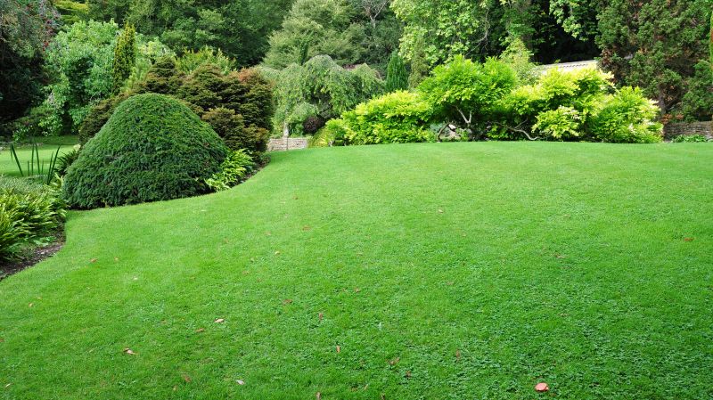 Commercial Landscape Design in Honolulu, HI
