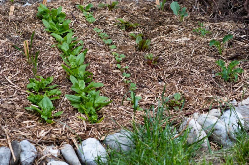 Mulch Being Spread in a Garden