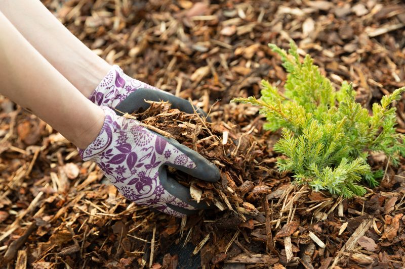Mulch spreading in a garden