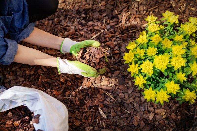 Landscape worker spreading mulch
